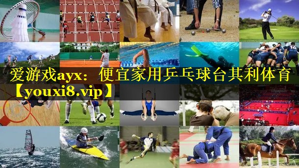 爱游戏ayx：便宜家用乒乓球台其利体育