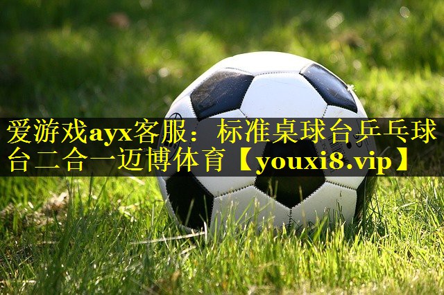 爱游戏ayx客服：标准桌球台乒乓球台二合一迈博体育