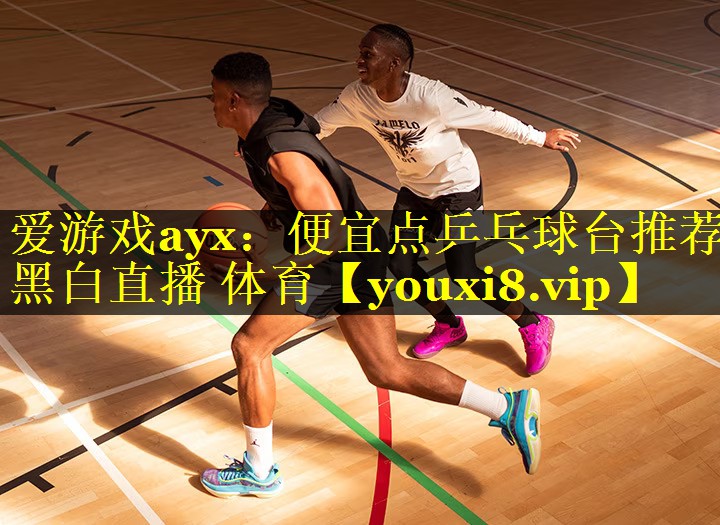 爱游戏ayx：便宜点乒乓球台推荐黑白直播 体育
