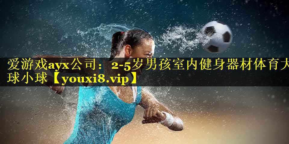 爱游戏ayx公司：2-5岁男孩室内健身器材体育大球小球