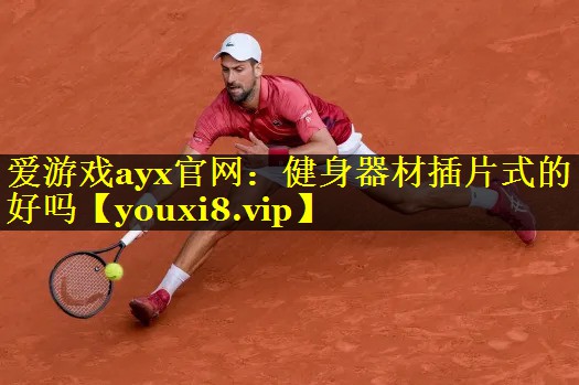 爱游戏ayx官网：健身器材插片式的好吗